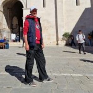 Profile photo of David Adcock